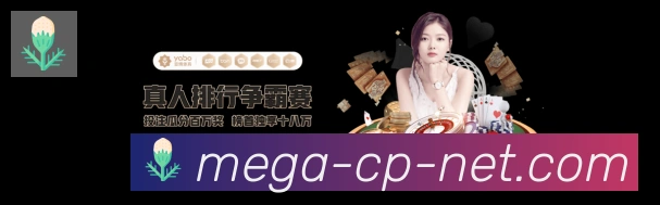 企业概况